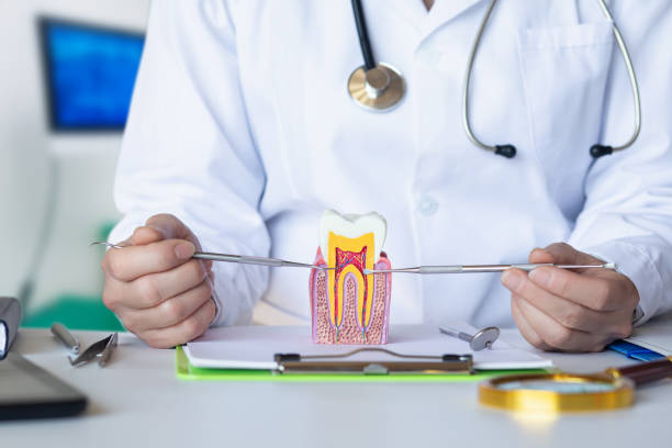 Best Pediatric Emergency Dentist in Anthem, AZ